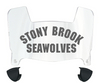 Stonybrook Seawolves Mini Football Helmet Visor Shield w/ Clips - PICK VISOR & LOGO COLOR