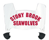 Stonybrook Seawolves Mini Football Helmet Visor Shield w/ Clips - PICK VISOR & LOGO COLOR
