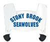 Stonybrook Seawolves Mini Football Helmet Visor Shield w/ Clips - PICK VISOR & LOGO COLOR