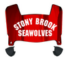 Stonybrook Seawolves Mini Football Helmet Visor Shield w/ Clips - PICK VISOR & LOGO COLOR