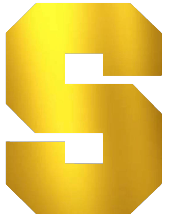 Syracuse Orange GOLD CHROME MIRROR Team Logo Premium DieCut Vinyl Decal PICK SIZE
