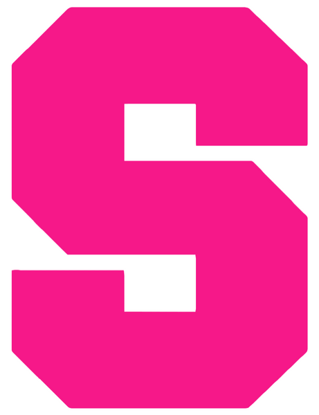 Syracuse Orange Hot Pink Team Logo Premium DieCut Vinyl Decal PICK SIZE