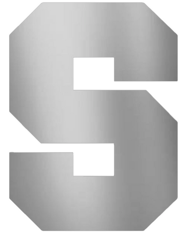 Syracuse Orange SILVER CHROME MIRROR Team Logo Premium DieCut Vinyl Decal PICK SIZE