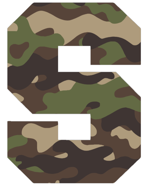 Syracuse Orange Woodland Camo Camouflage Team Logo Premium DieCut Vinyl Decal PICK SIZE
