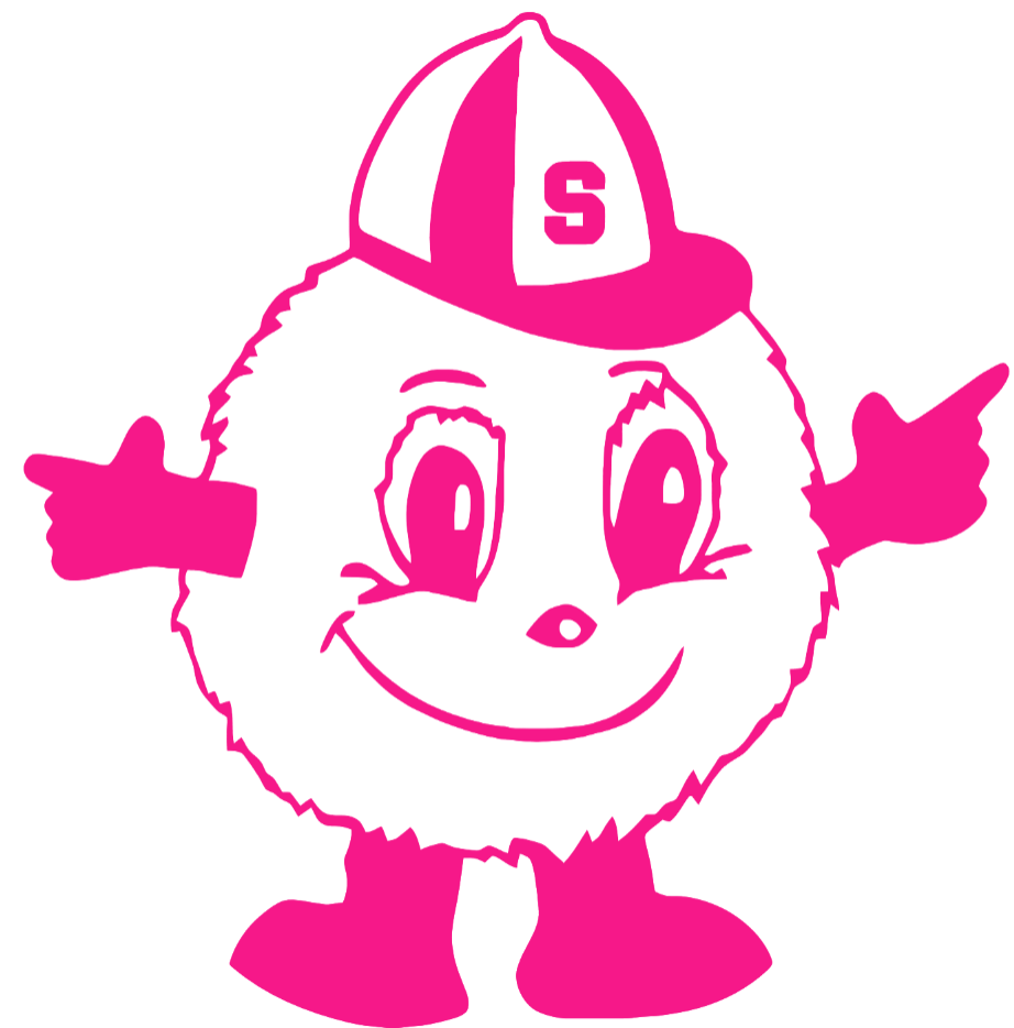 Syracuse Orange Hot Pink Mascot Logo Premium DieCut Vinyl Decal PICK SIZE