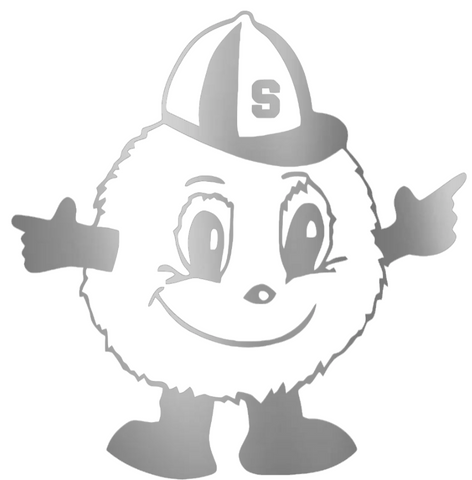 Syracuse Orange SILVER CHROME MIRROR Mascot Logo Premium DieCut Vinyl Decal PICK SIZE