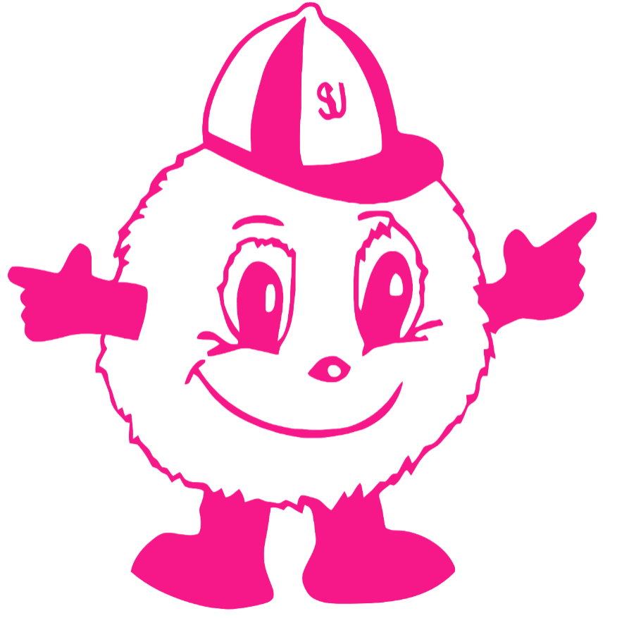 Syracuse Orange Hot Pink Retro Throwback Logo Premium DieCut Vinyl Decal PICK SIZE