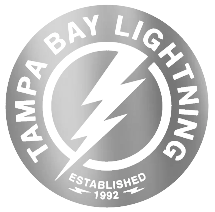 Tampa Bay Lightning SILVER CHROME MIRROR Alternate Logo Premium DieCut Vinyl Decal PICK SIZE