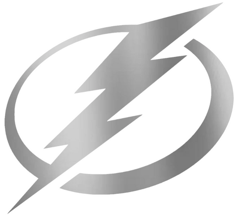Tampa Bay Lightning SILVER CHROME MIRROR Team Logo Premium DieCut Vinyl Decal PICK SIZE
