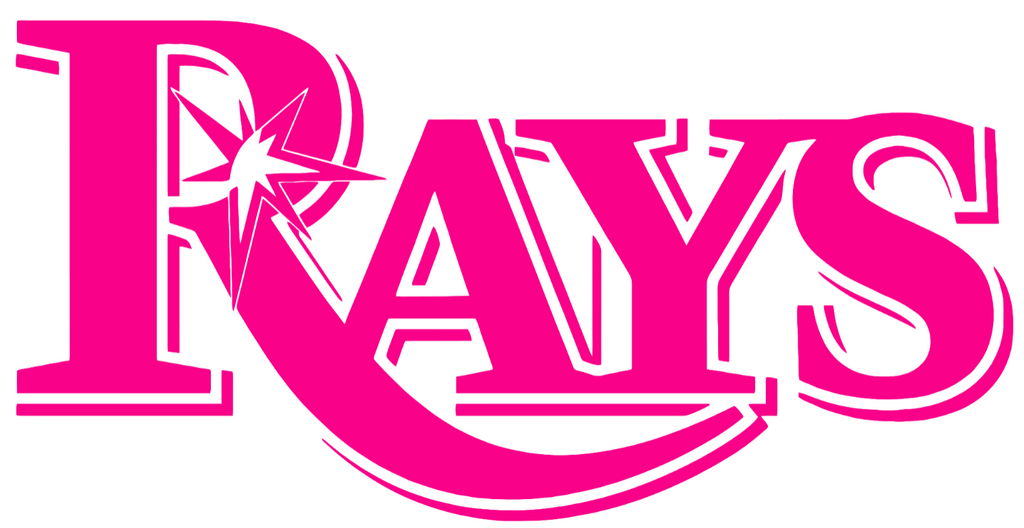 Tampa Bay Rays Hot Pink Team Name Logo Premium DieCut Vinyl Decal PICK SIZE