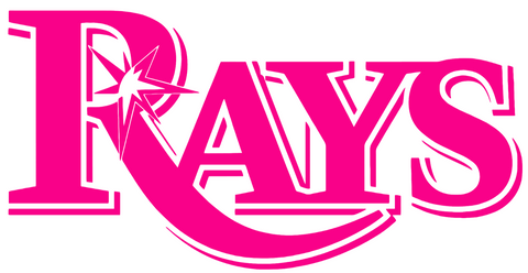 Tampa Bay Rays Hot Pink Team Name Logo Premium DieCut Vinyl Decal PICK SIZE