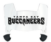 Tampa Bay Buccaneers Mini Football Helmet Visor Shield w/ Clips - PICK VISOR & LOGO COLOR