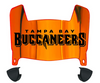 Tampa Bay Buccaneers Mini Football Helmet Visor Shield w/ Clips - PICK VISOR & LOGO COLOR