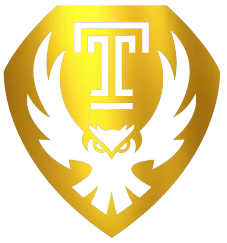 Temple Owls GOLD CHROME MIRROR Alternate Logo Premium DieCut Vinyl Decal PICK SIZE