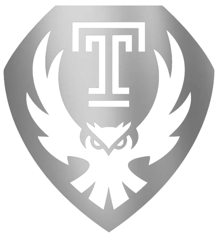 Temple Owls SILVER CHROME MIRROR Alternate Logo Premium DieCut Vinyl Decal PICK SIZE