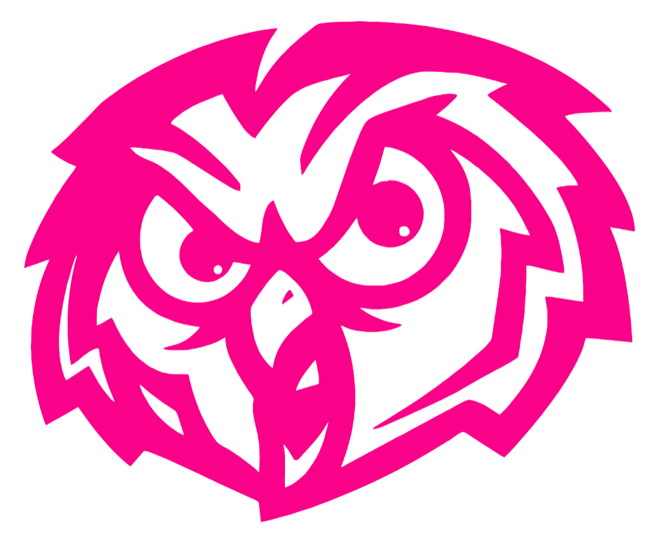 Temple Owls Hot Pink Retro Throwback Logo Premium DieCut Vinyl Decal PICK SIZE