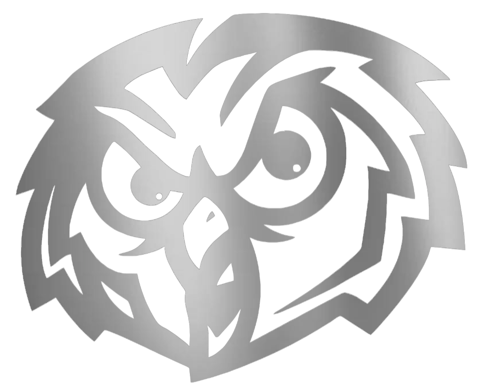 Temple Owls SILVER CHROME MIRROR Retro Throwback Logo Premium DieCut Vinyl Decal PICK SIZE