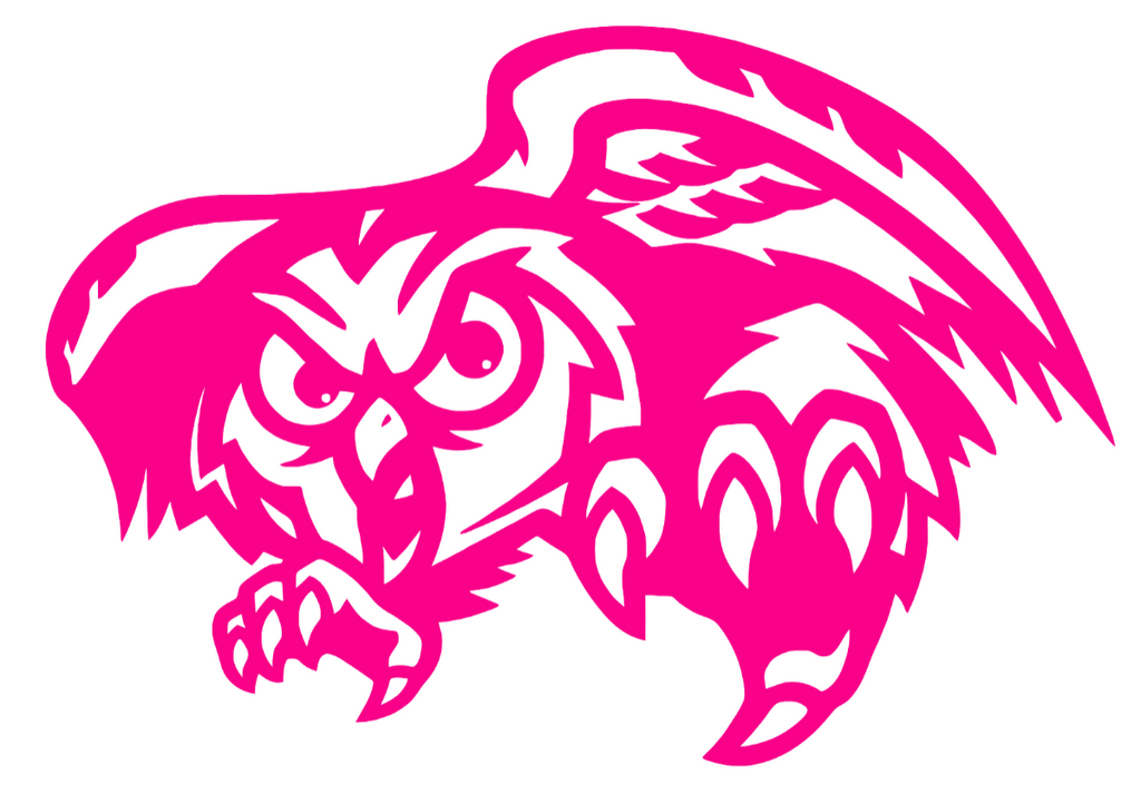 Temple Owls Hot Pink Retro Throwback Logo Premium DieCut Vinyl Decal PICK SIZE