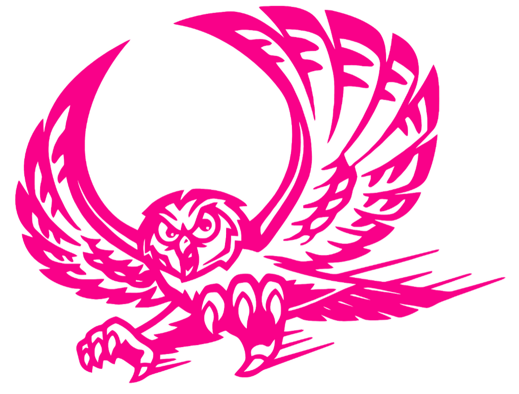 Temple Owls Hot Pink Retro Throwback Logo Premium DieCut Vinyl Decal PICK SIZE