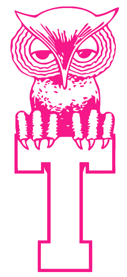 Temple Owls Hot Pink Retro Throwback Logo Premium DieCut Vinyl Decal PICK SIZE