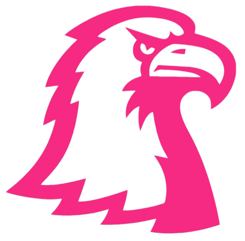 Tennessee Tech Golden Eagles HOT PINK Team Logo Premium DieCut Vinyl Decal PICK SIZE