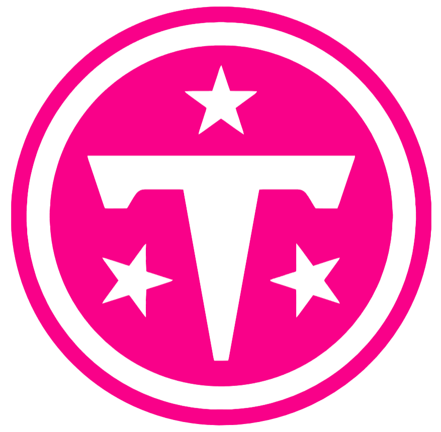 Tennessee Titans Hot Pink Team Logo Premium DieCut Vinyl Decal PICK SIZE