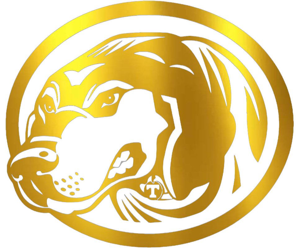 Tennessee Volunteers GOLD CHROME MIRROR Smokey Mascot Logo Premium DieCut Vinyl Decal PICK SIZE
