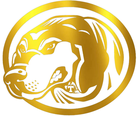 Tennessee Volunteers GOLD CHROME MIRROR Smokey Mascot Logo Premium DieCut Vinyl Decal PICK SIZE