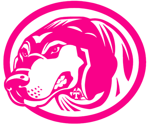 Tennessee Volunteers Hot Pink Smokey Mascot Logo Premium DieCut Vinyl Decal PICK SIZE