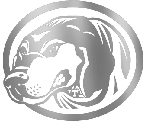Tennessee Volunteers SILVER CHROME MIRROR Smokey Mascot Logo Premium DieCut Vinyl Decal PICK SIZE