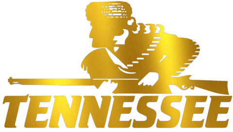 Tennessee Volunteers GOLD CHROME MIRROR Retro Throwback Logo Premium DieCut Vinyl Decal PICK SIZE