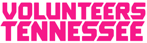 Tennessee Volunteers Hot Pink Team Name Logo Premium DieCut Vinyl Decal PICK SIZE