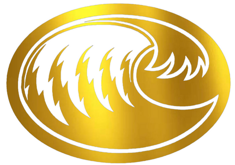 Texas A&M CC Islanders GOLD CHROME MIRROR Alternate Logo Premium DieCut Vinyl Decal PICK SIZE