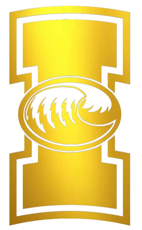 Texas A&M CC Islanders GOLD CHROME MIRROR Team Logo Premium DieCut Vinyl Decal PICK SIZE