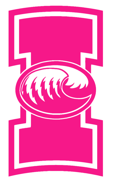 Texas A&M CC Islanders Hot Pink Team Logo Premium DieCut Vinyl Decal PICK SIZE