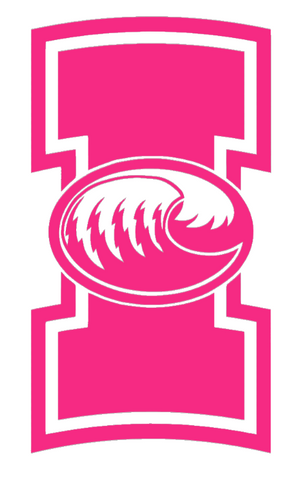 Texas A&M CC Islanders HOT PINK Team Logo Premium DieCut Vinyl Decal PICK SIZE