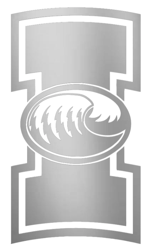 Texas A&M CC Islanders SILVER CHROME MIRROR Team Logo Premium DieCut Vinyl Decal PICK SIZE