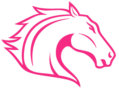 Texas Arlington Mavericks HOT PINK Team Logo Premium DieCut Vinyl Decal PICK SIZE