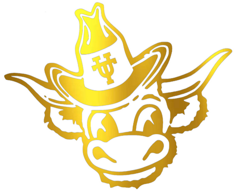 Texas Longhorns GOLD CHROME MIRROR Retro Throwback Logo Premium DieCut Vinyl Decal PICK SIZE