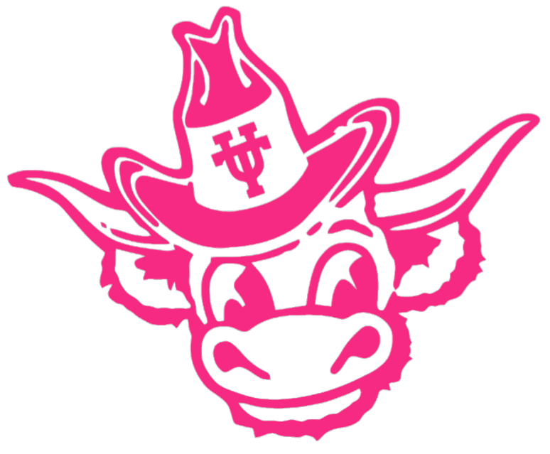 Texas Longhorns HOT PINK Retro Throwback Logo Premium DieCut Vinyl Decal PICK SIZE