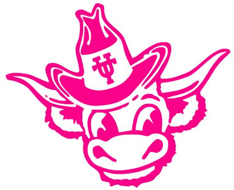 Texas Longhorns Hot Pink Retro Throwback Logo Premium DieCut Vinyl Decal PICK SIZE