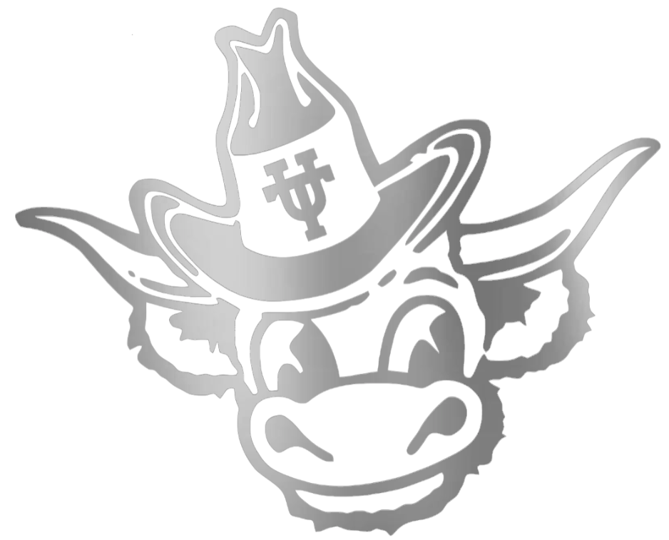 Texas Longhorns SILVER CHROME MIRROR Retro Throwback Logo Premium DieCut Vinyl Decal PICK SIZE