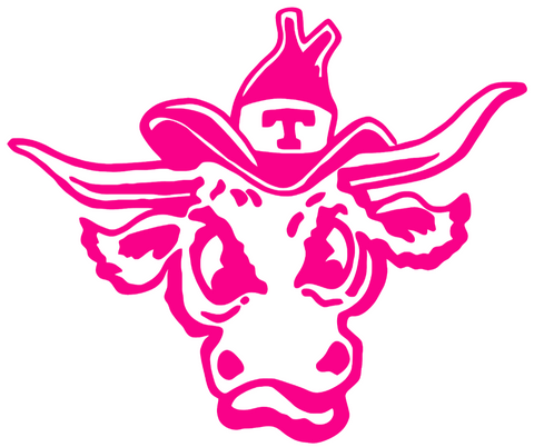 Texas Longhorns Hot Pink Retro Throwback Logo Premium DieCut Vinyl Decal PICK SIZE