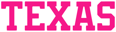 Texas Longhorns Hot Pink Team Name Logo Premium DieCut Vinyl Decal PICK SIZE