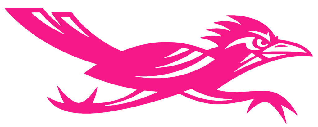 Texas San Antonio Roadrunners Hot Pink Alternate Logo Premium DieCut Vinyl Decal PICK SIZE
