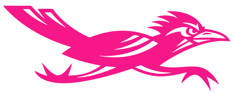 Texas San Antonio Roadrunners Hot Pink Alternate Logo Premium DieCut Vinyl Decal PICK SIZE