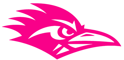 Texas San Antonio Roadrunners Hot Pink Team Logo Premium DieCut Vinyl Decal PICK SIZE