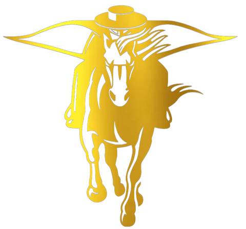 Texas Tech Red Raiders GOLD CHROME MIRROR Mascot Logo Premium DieCut Vinyl Decal PICK SIZE