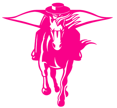 Texas Tech Red Raiders Hot Pink Mascot Logo Premium DieCut Vinyl Decal PICK SIZE