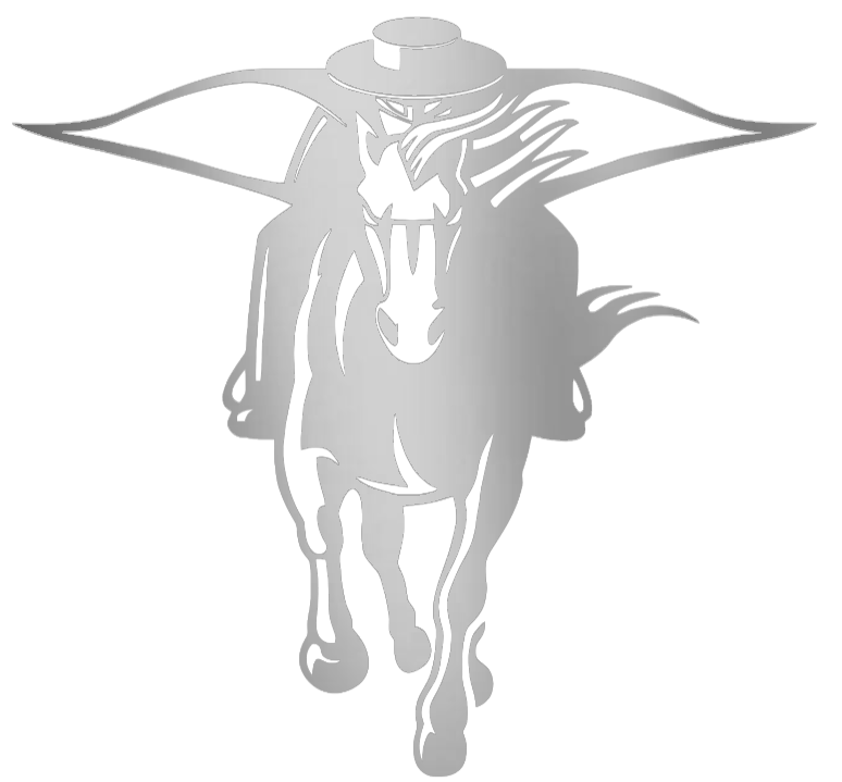 Texas Tech Red Raiders SILVER CHROME MIRROR Mascot Logo Premium DieCut Vinyl Decal PICK SIZE